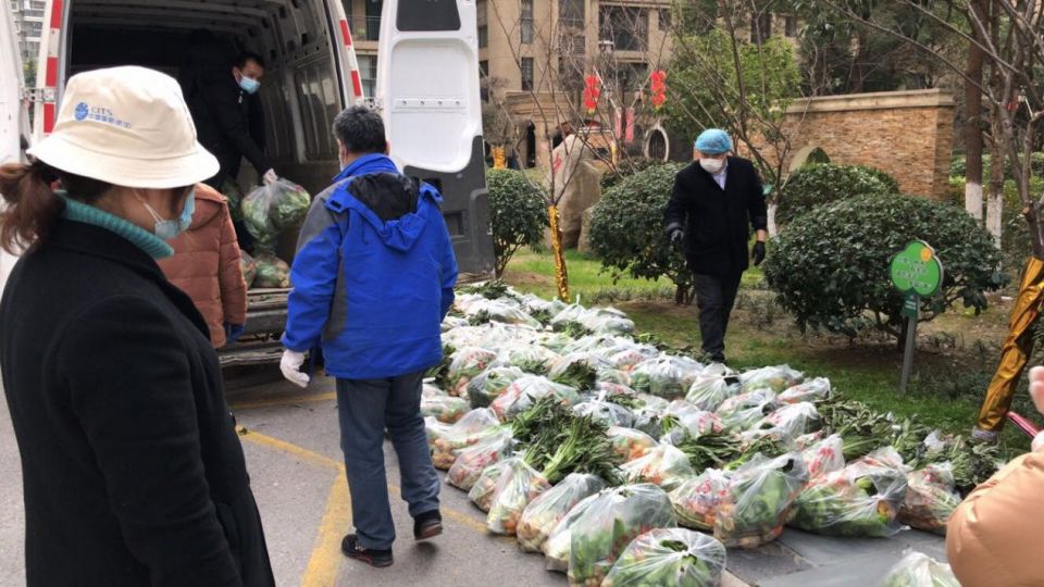 �ھ�����CMP��(�й�)����