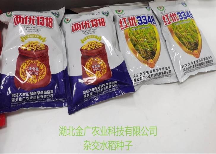 �ھ�����CMP��(�й�)����