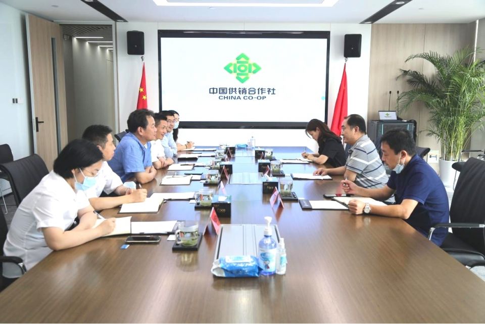 冠军国际CMP·(中国)集团