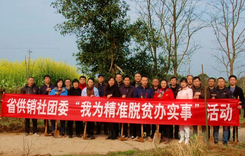 �ھ�����CMP��(�й�)����